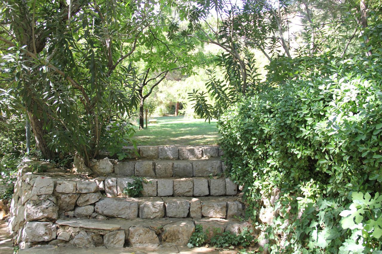 Sahrat al Qashsh Domaine De Chouchene酒店 外观 照片