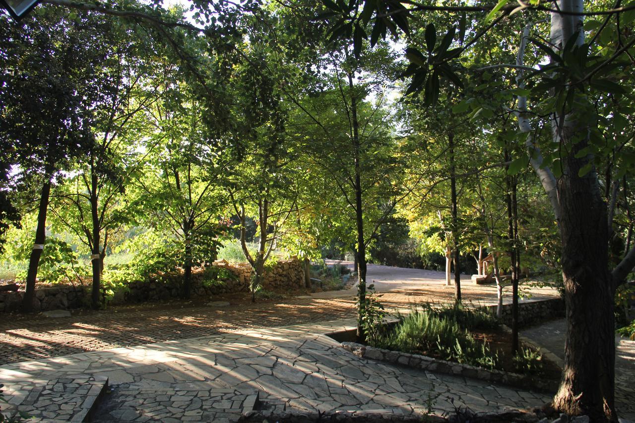 Sahrat al Qashsh Domaine De Chouchene酒店 外观 照片